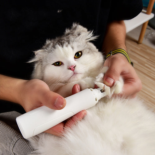 Grooming & Pet Care